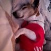 tinkerbella2009